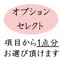 葬儀のおくはま出棺プラン オプションセレクト