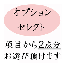 葬儀のおくはま出棺プラン オプションセレクト