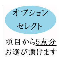 葬儀のおくはま出棺プラン オプションセレクト