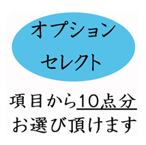 葬儀のおくはま出棺プラン オプションセレクト